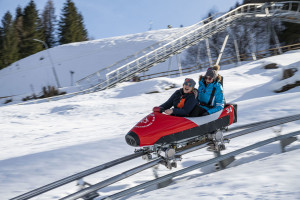 Sondergurte Rodelbahnen