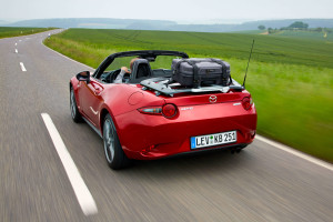 Sondergurte OEMs Spezialanfertigungen